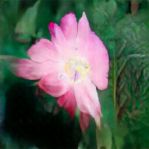 Learning to Learn to See