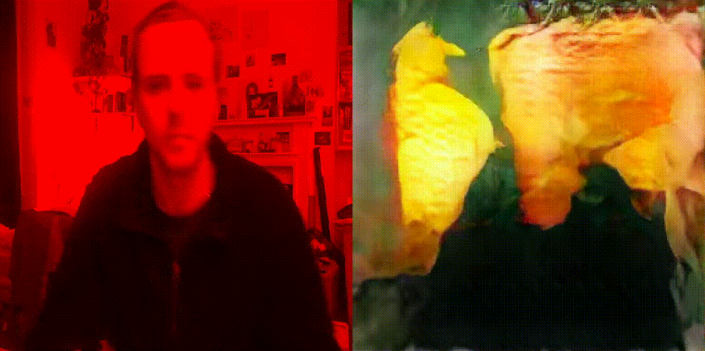 Testing GIF